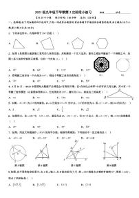 【全套精品专题】初中数学复习专题精讲- 2023-2024湖南省长沙市师大系广益华益中学九年级下学期第3次阶段小练习（无答案）