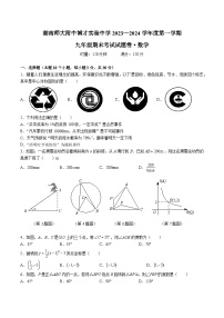 【全套精品专题】初中数学复习专题精讲湖南省长沙市-2023-2024-1博才九上期末综合检测（无答案）