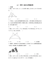 初中数学北师大版七年级下册5 利用三角形全等测距离一课一练