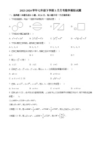 江苏省扬州市宝应县实验初级中学2023-2024学年七年级下学期3月月考数学模拟试题（原卷版+解析版）