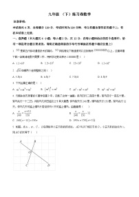 江苏省南京师范大学附属中学树人学校2023-2024学年九年级下学期3月月考数学试题（原卷版+解析版）