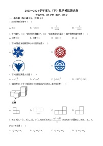 湖北省武汉市二桥中学2023-2024学年九年级下学期月考数学试题（原卷版+解析版）