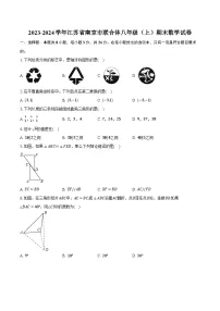 2023-2024学年江苏省南京市联合体八年级（上）期末数学试卷（含解析）