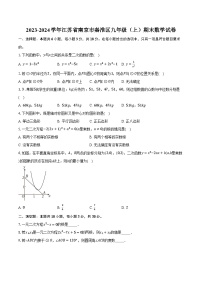 2023-2024学年江苏省南京市秦淮区九年级（上）期末数学试卷（含解析）