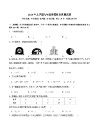 【全套精品专题】初中数学复习专题精讲湖南省长沙市-2023-2024-2中雅九下入学综合检测（无答案）