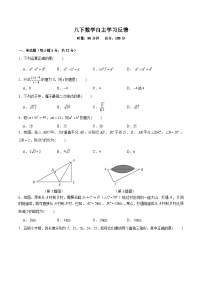 【全套精品专题】初中数学复习专题精讲湖南省长沙市-2023-2024-2青一八下入学综合检测（带答案）