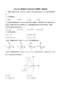 2024年山东省济宁市金乡县中考数学一模试卷（含解析）