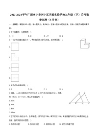 2023-2024学年广西南宁市兴宁区天桃实验学校九年级（下）月考数学试卷（3月份）（含解析）