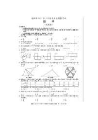 2024年安徽省亳州市中考二模数学试题