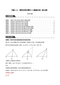 中考数学一轮复习专题4.10 图形的相似章末十大题型总结（拔尖篇）（北师大版）（解析版）