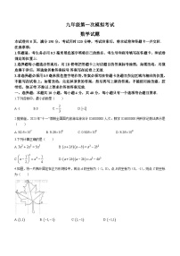 2024年山东省泰安市新泰市中考一模数学模拟试题