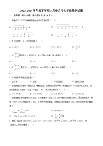 吉林省长春市榆树市红星乡中学2023-2024学年七年级下学期3月月考数学试题（原卷版+解析版）