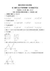 江苏省泰州市海陵区泰州市民兴中英文学校2023-2024学年七年级下学期3月月考数学试题（原卷版+解析版）