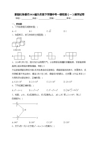 新疆吐鲁番市2024届九年级下学期中考一模检测（一）数学试卷(含答案)