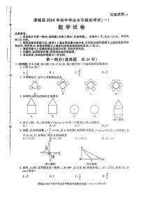 陕西省渭南市澄城县2024年九年级下学期九年级中考一模考试数学试题