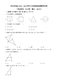 新疆维吾尔自治区阿克苏地区2023-2024学年九年级下学期3月期末数学试题（原卷版+解析版）