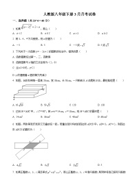 湖南省永州市新田县2023-2024学年八年级下学期月考数学试题（原卷版+解析版）