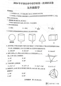 2024年河南省平顶山中考数学一模试题