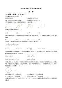 2023年宁夏回族自治区吴忠市同心县中考模拟数学模拟预测题