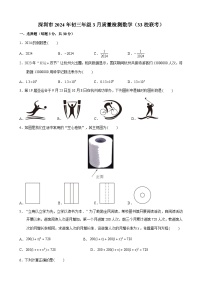 广东省深圳市2023-2024学年九年级下学期3月质量检测数学试题（33校联考）