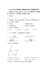 湖北省武汉市东湖高新区2022-2023学年七年级下学期期末考试数学试卷(含答案)