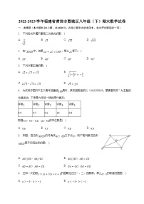 福建省莆田市荔城区2022-2023学年八年级下学期期末考试数学试卷(含解析)