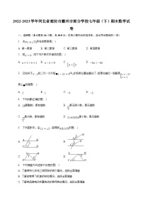 河北省廊坊市霸州市部分学校2022-2023学年七年级下学期期末考试数学试卷(含答案)