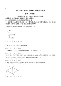 河北省邢台市威县2022-2023学年八年级下学期期末考试数学试卷(含答案)