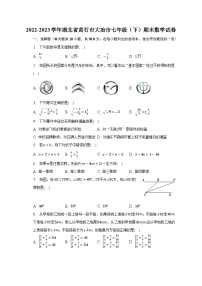 湖北省黄石市大冶市2022-2023学年七年级下学期期末考试数学试卷(含解析)