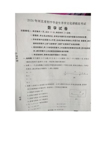 河北省保定市高碑店市2023-2024学年九年级下学期3月期中数学试题