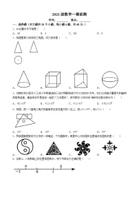 2024年山东省济南市历下区山东大学附属中学中考一轮数学模拟预测题