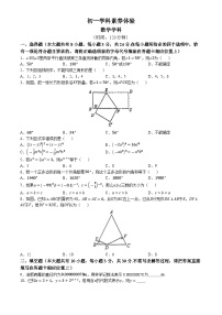 江苏省扬州市广陵区扬州市竹西中学2023-2024学年七年级下学期3月月考数学试题(无答案)