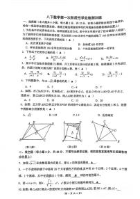 江苏省南京市雨花区一中实验（南京民办实验学校）2023—2024学年下学期3月月考八年级数学试题