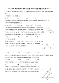2024年河南省南阳市唐河县四校联考中考数学模拟试卷（三）（含解析）