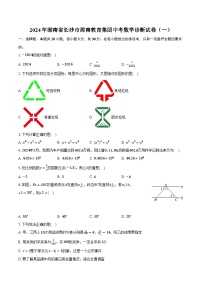 2024年湖南省长沙市周南教育集团中考数学诊断试卷（一）（含解析）