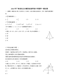 2024年广东省汕头市潮阳实验学校中考数学一模试卷(含解析）