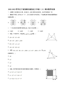 辽宁省抚顺市新抚区2022-2023学年八年级上学期期末考试数学试卷(含解析)