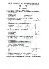 安徽省阜阳市太和县2023-2024学年七年级下学期3月月考数学试题