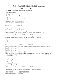 浙江省义乌市稠州中学2023-2024学年八年级下学期3月独立作业检查数学试题