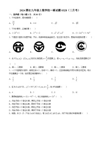 2024年黑龙江省哈尔滨市南岗区萧红中学校中考一模数学试题