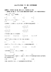 湖南省邵阳市新宁县水庙镇中心学校2023-2024学年七年级下学期月考数学试题