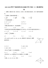 2023-2024学年广东省东莞市长安实验中学八年级（上）期末数学试卷(含详细答案解析)