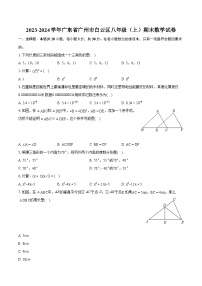 2023-2024学年广东省广州市白云区八年级（上）期末数学试卷(含详细答案解析)