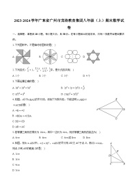 2023-2024学年广东省广州市龙涛教育集团八年级（上）期末数学试卷(含详细答案解析)