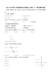 2023-2024学年广东省河源市江东新区八年级（上）期末数学试卷(含详细答案解析)