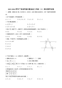 2023-2024学年广东省河源市紫金县八年级（上）期末数学试卷(含详细答案解析)