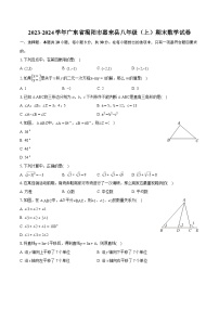 2023-2024学年广东省揭阳市惠来县八年级（上）期末数学试卷(含详细答案解析)