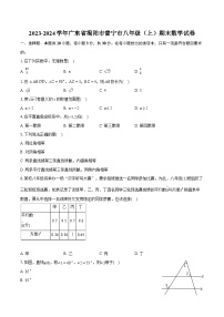 2023-2024学年广东省揭阳市普宁市八年级（上）期末数学试卷(含详细答案解析)