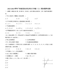 2023-2024学年广东省茂名市化州市八年级（上）期末数学试卷(含详细答案解析)