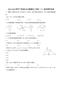 2023-2024学年广东省汕头市潮南区八年级（上）期末数学试卷(含详细答案解析)